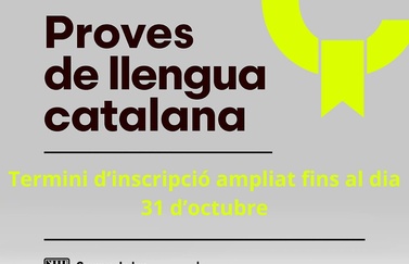 La caiguda de la plataforma estatal de signatura obliga a ampliar el termini d’inscripció a les proves de català